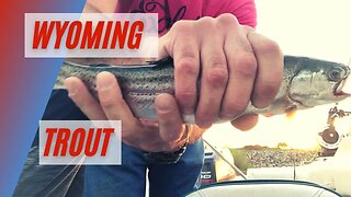 Wyoming Trout Fishing Adventure