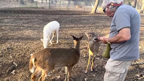 Lucy's Herd is thriving! Jan 19th