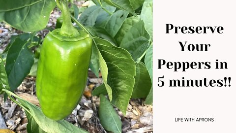 Preserve your peppers in 5 minutes! #fermentedfoods