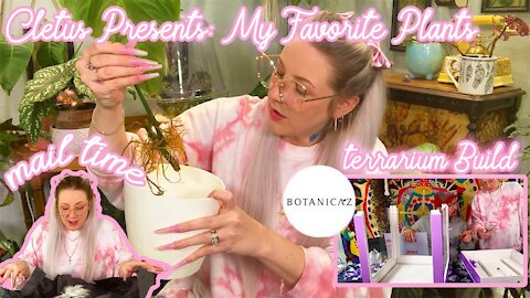 My Favorite House Plants (Husband Voiceover), Botanicaz Plant Terrarium & Unboxing Stuff