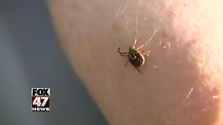 Local woman travels overseas for Lyme disease treatment