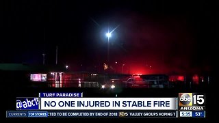 Fire breaks out at Turf Paradise