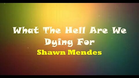 Shawn Mendes - What the Hell are we dying for?? (Lyrics Video)