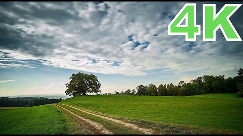 4K Time-Lapse: Beauty Of Nature | Drone View | Colors of Nature | Free HD Videos - No Copyright