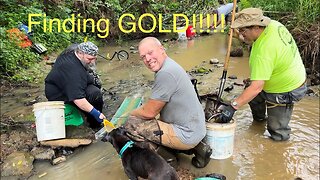 Finding GOLD with a CREW