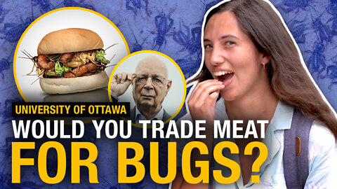 Are uOttawa students ready to accept Klaus Schwab’s bug eating plans?
