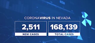 Cases within the last 24 hours
