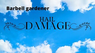 July 18, 2022 hail damage!