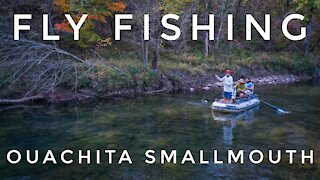 Fly Fishing | Smallmouth Bass in Arkansas