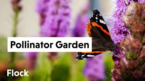 Designing and Planting a PERENNIAL, POLLINATOR GARDEN — Ep. 062