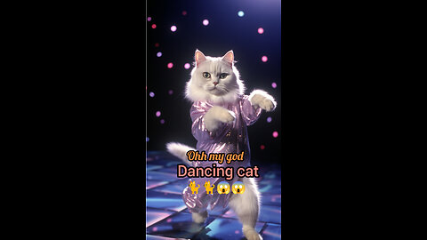 cat shorts funny video 🔥🔥🔥