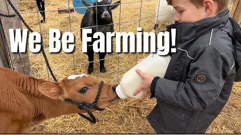 We be farming! | He’s getting Band | Learning as we go!