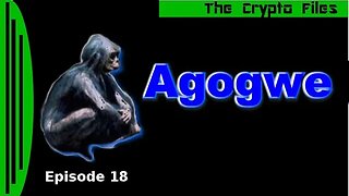 The Crypto Files | Agogwe | Ep18