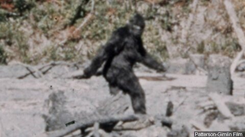 Sasquatch (real sighting)