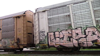 CN 5722, CN 2172 & CN 2328 Engines Manifest Train Westbound At Mandaumin Crossing