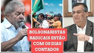 Bolsonaristas radicais estão com os dias contado governo Lula irá para cima de Bolsonaroistas