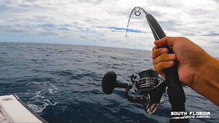 Catching live bait & Fishing in Key Largo