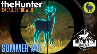 Sommer #6 Hirschfelden | theHunter: Call of the Wild (PS5 4K)