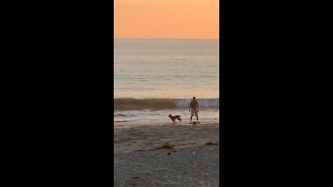 Cruising down the beach on a one wheel at sunset with your dog.