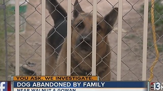 Dog left behind when tenants move out