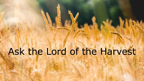 Ask the Lord of the Harvest - Luke 10:1-12, 16 - July 24, 2022