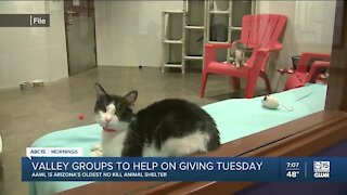 AAWL hoping to receive support on Giving Tuesday