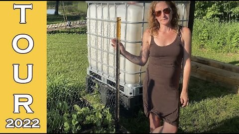 Planter Box Greenhouse Garden Tour | Summer 🌻 2022 | Week Two