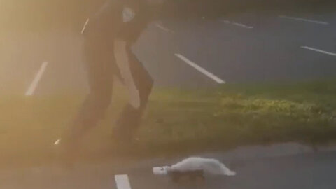 Policeman Saves Skunk And Gets Sprayed