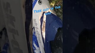 Definitely didn’t hit a 🌲