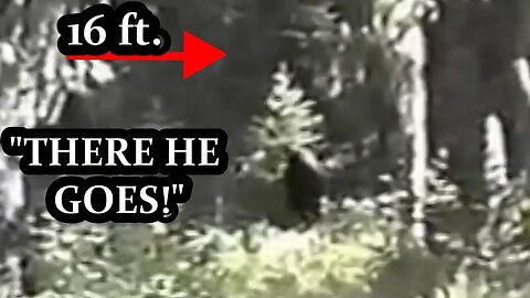 The Freeman Footage: Best Bigfoot Evidence 🎥🦍🌲