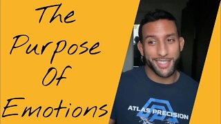 The Purpose of Emotions | Finding Solace in Combat