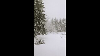 snow 02-13-25