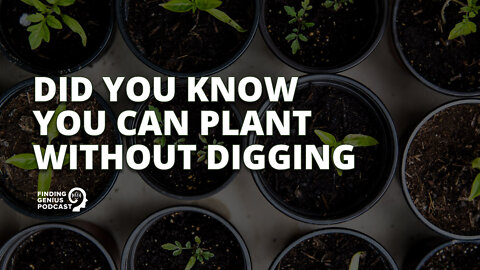 Did You Know You Can Plant Without Digging #shorts