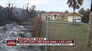 Collier Co. fire burns nearly 5,000 acres