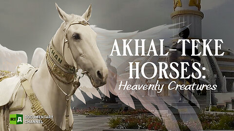 Akhal-Teke Horses: Heavenly Creatures | RT Documentary