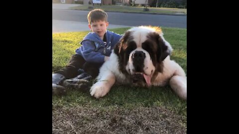 Well I Made It Outside The Gate Today!!! Nothing Better Than Cuddles From Little Buddy!!!