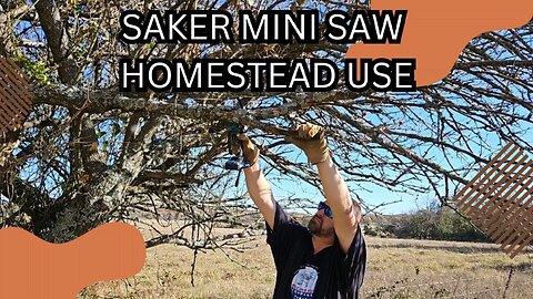 Unveiling the Saker Mini Chainsaw: Effortless Cutting Made Simple.