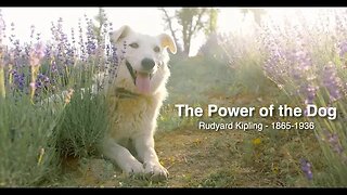 The Power of the Dog by Rudyard Kipling (Audio reading)