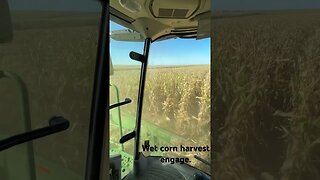 Wet #corn #harvest #deere. #farming #tractor