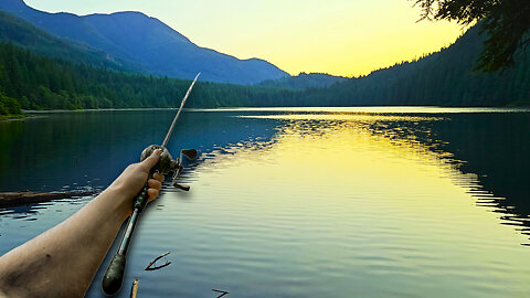 LOTS of Baby Bass on this BEAUTIFUL LAKE