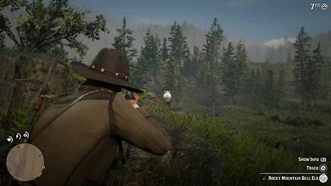 Hunting 12 - Red Dead Redemption 2
