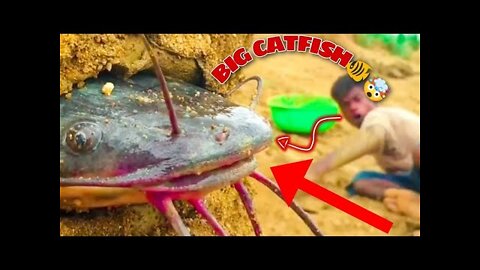 Funny hand fishing video 🤌🐠 catfish 🐟#incredible_fishing #shorts