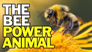 The Bee Power Animal