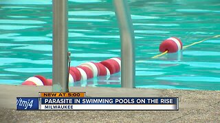 Parasite found in swimming pools on rise