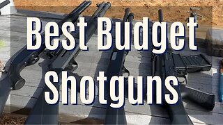 Best Budget Shotguns