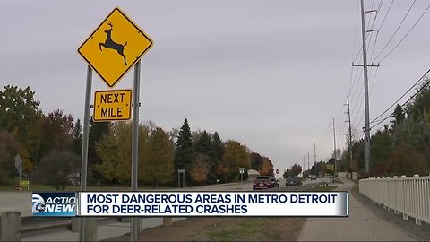 Deer on the move: Most dangerous areas for vehicle crashes