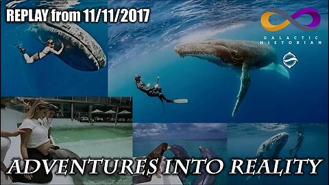 Adventures Into Reality REPLAY: Whales Pt1 - Their Roles On Earth and in the Universe