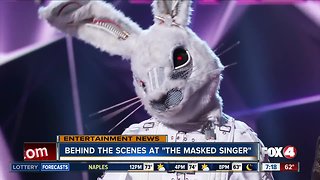 Who's behind the masks on 'The Masked Singer'?