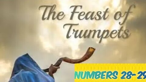 Numbers 28-29 | NIV Bible Reading