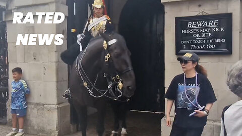 Tourist Faints After Being Bitten by King's Guard Horse